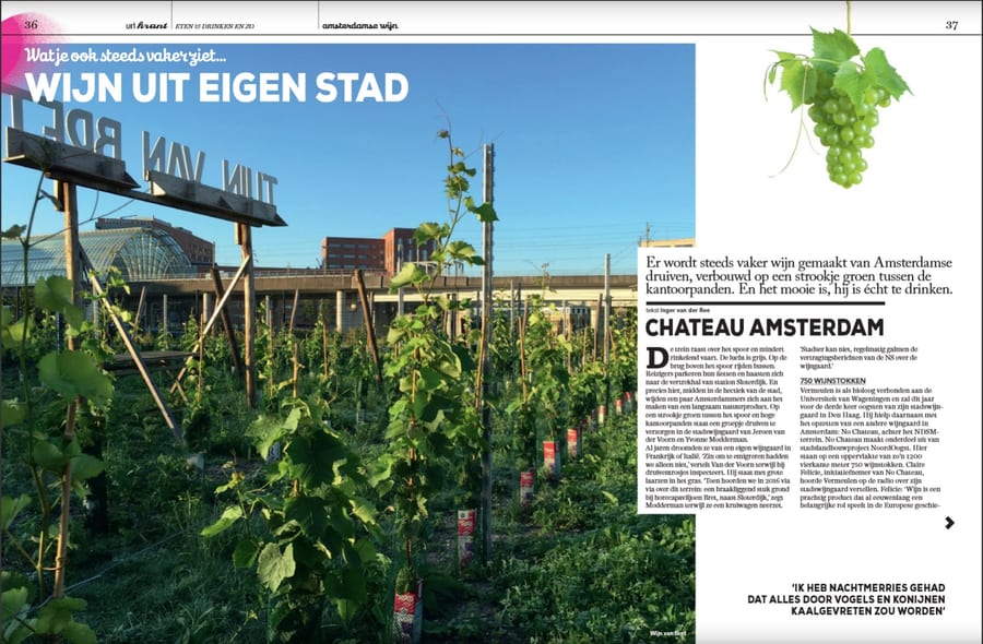Wijn van Amsterdamse druiven
